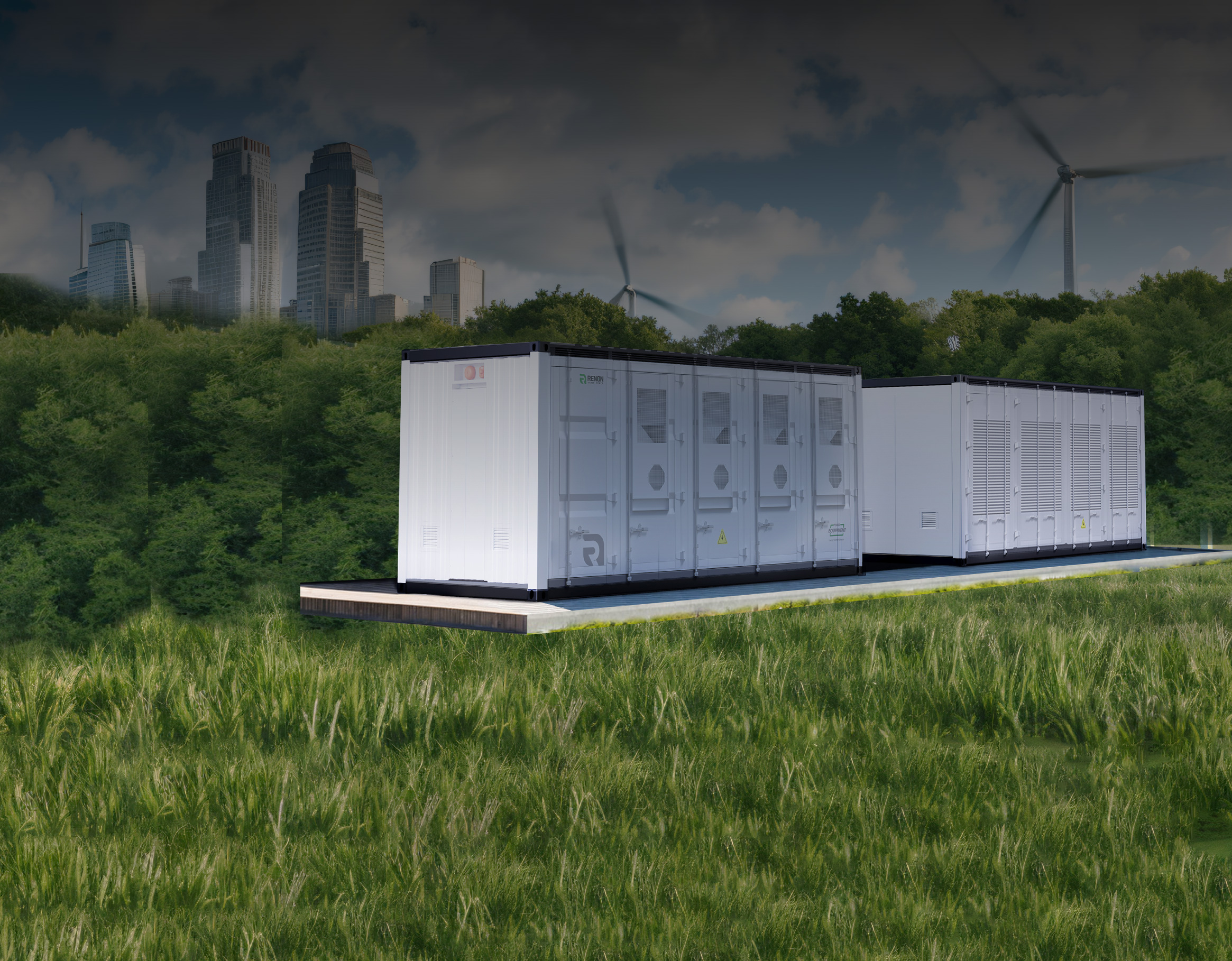 Energy Storage System Strategy Requirements